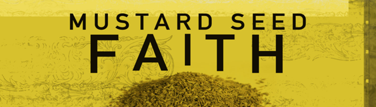 Mustard Seed Consulting 